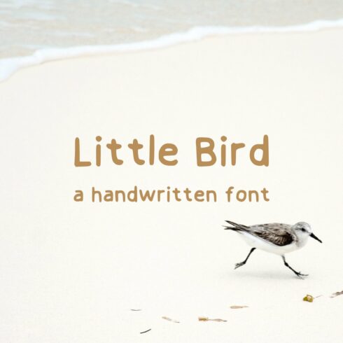 Little Bird a Handwritten Font cover image.