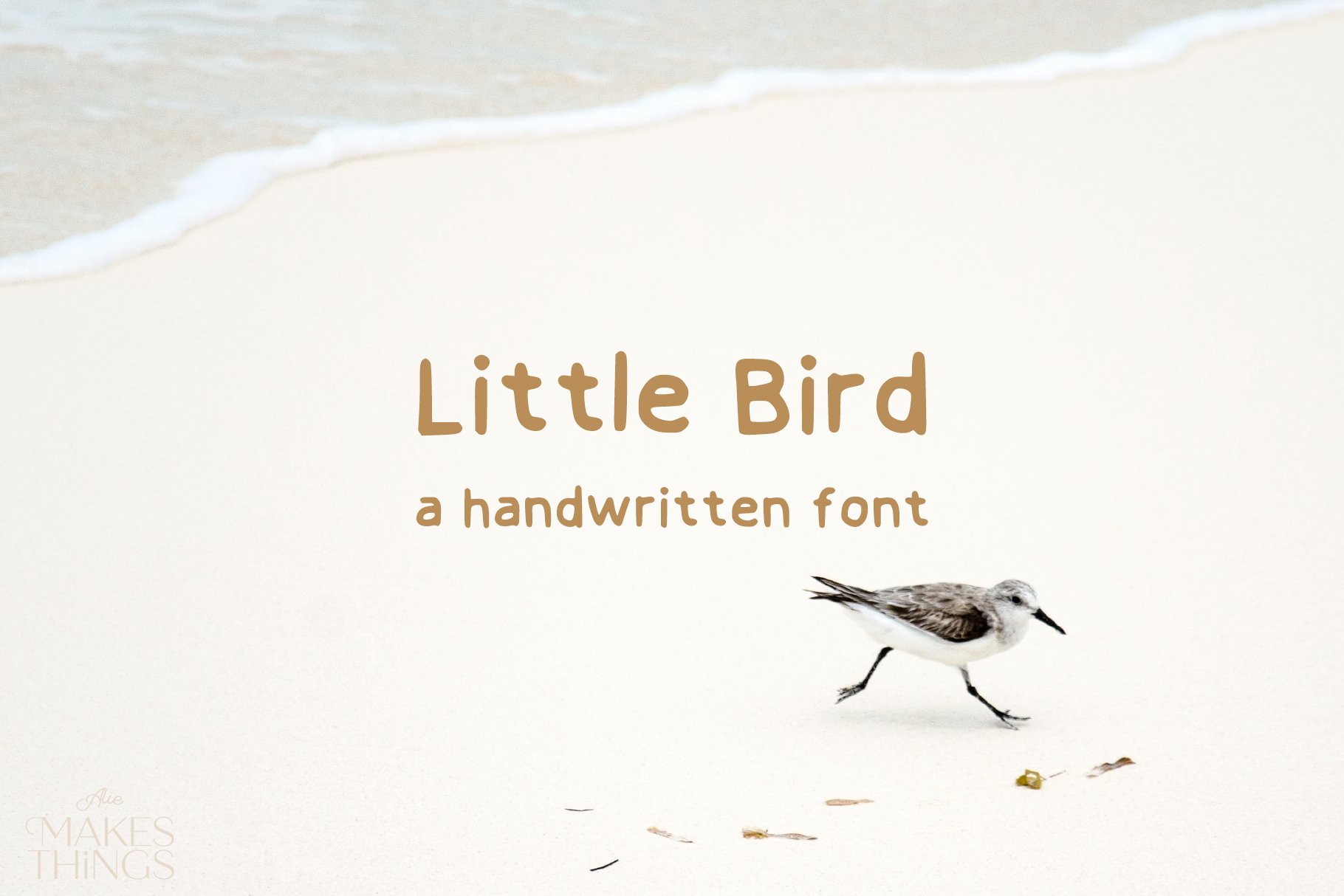 Little Bird a Handwritten Font cover image.