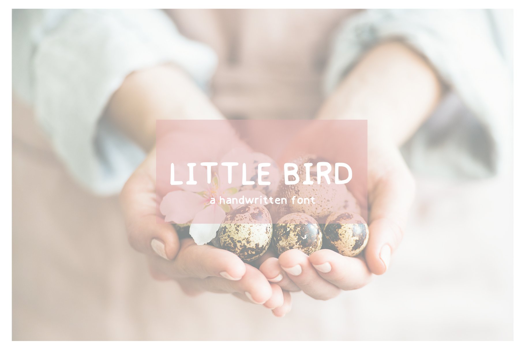 littlebirdcreativemarket02 620