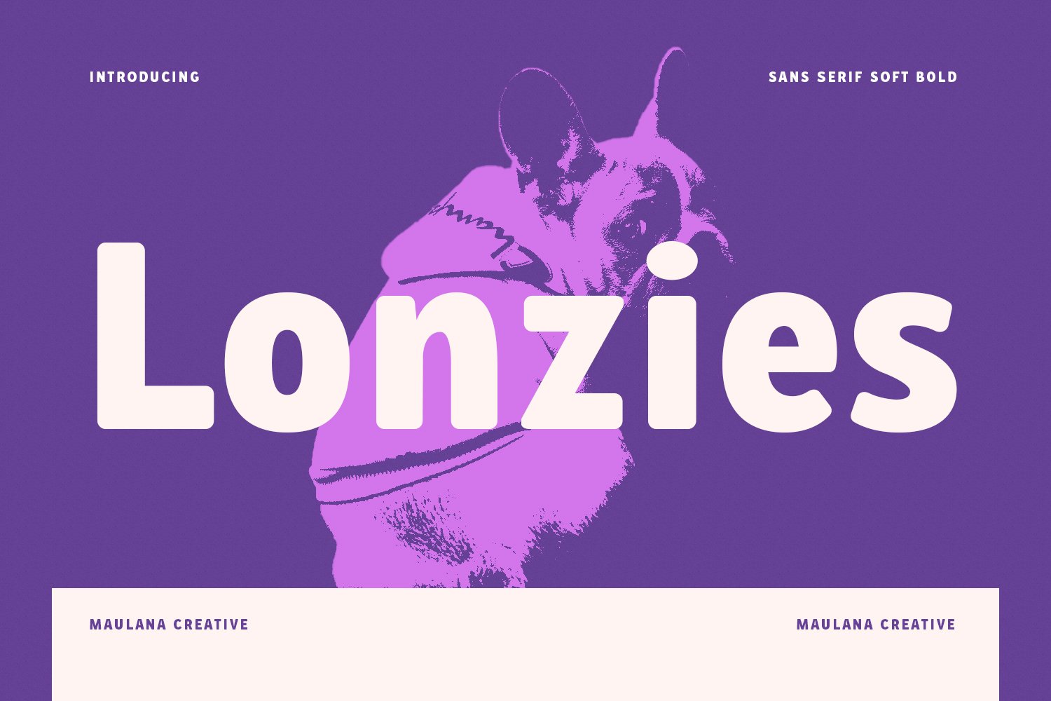 Lonzies Display Sans Serif Soft Bold cover image.