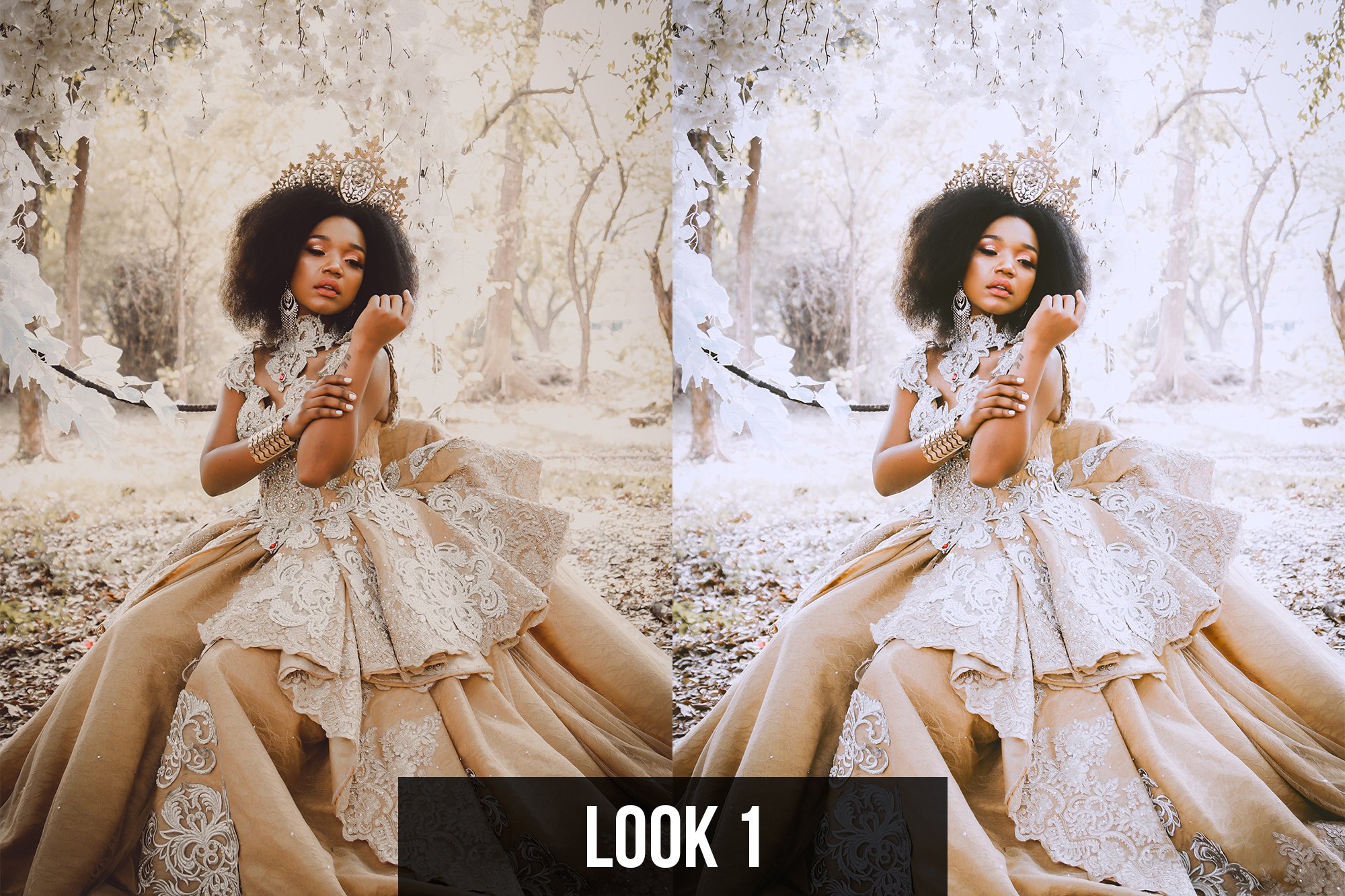 Lightroom Presets - Insta Look 2preview image.