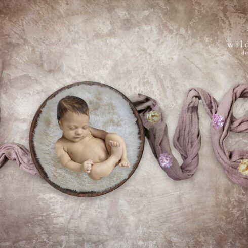 Newborn Love Digital Backdropcover image.