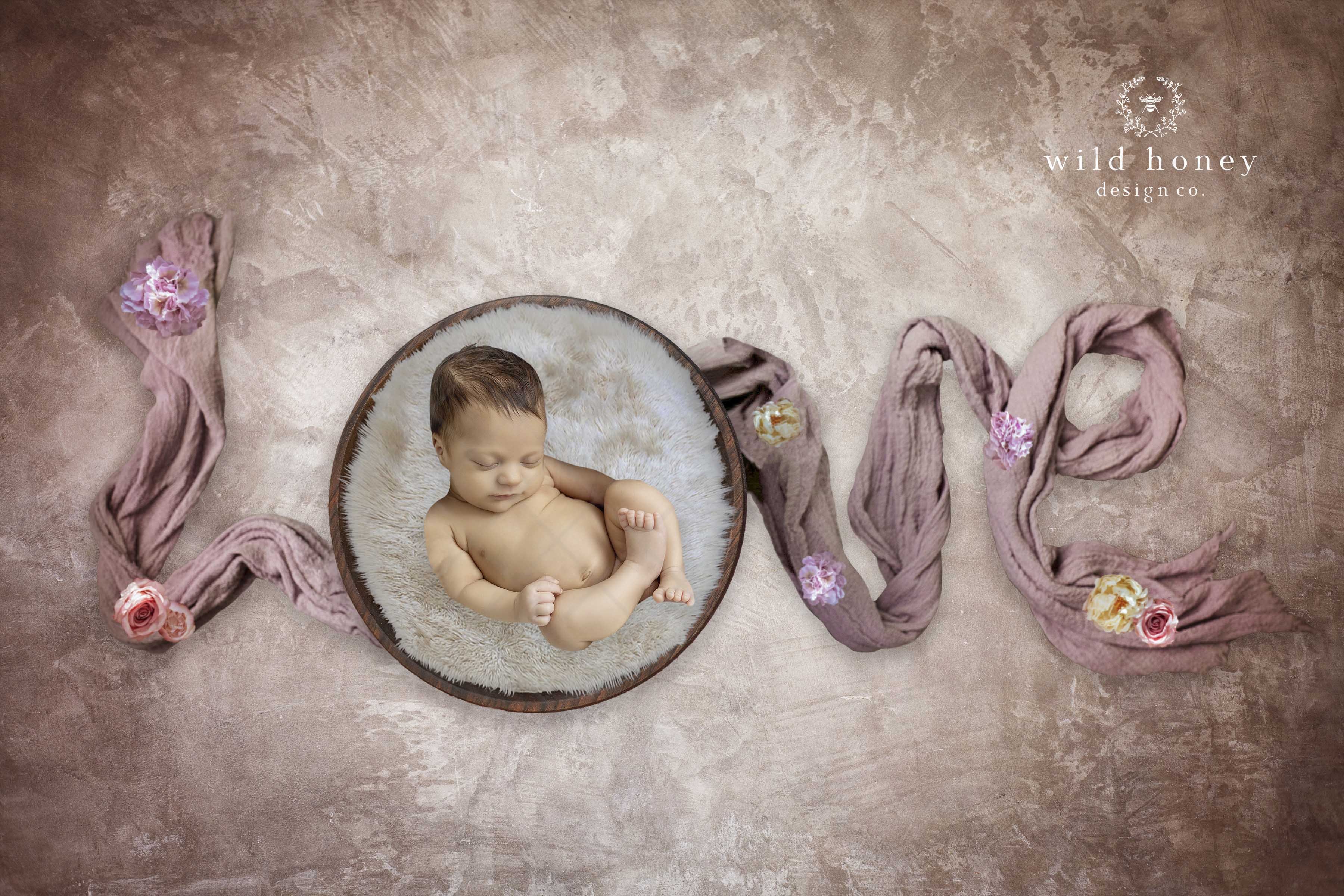 Newborn Love Digital Backdropcover image.