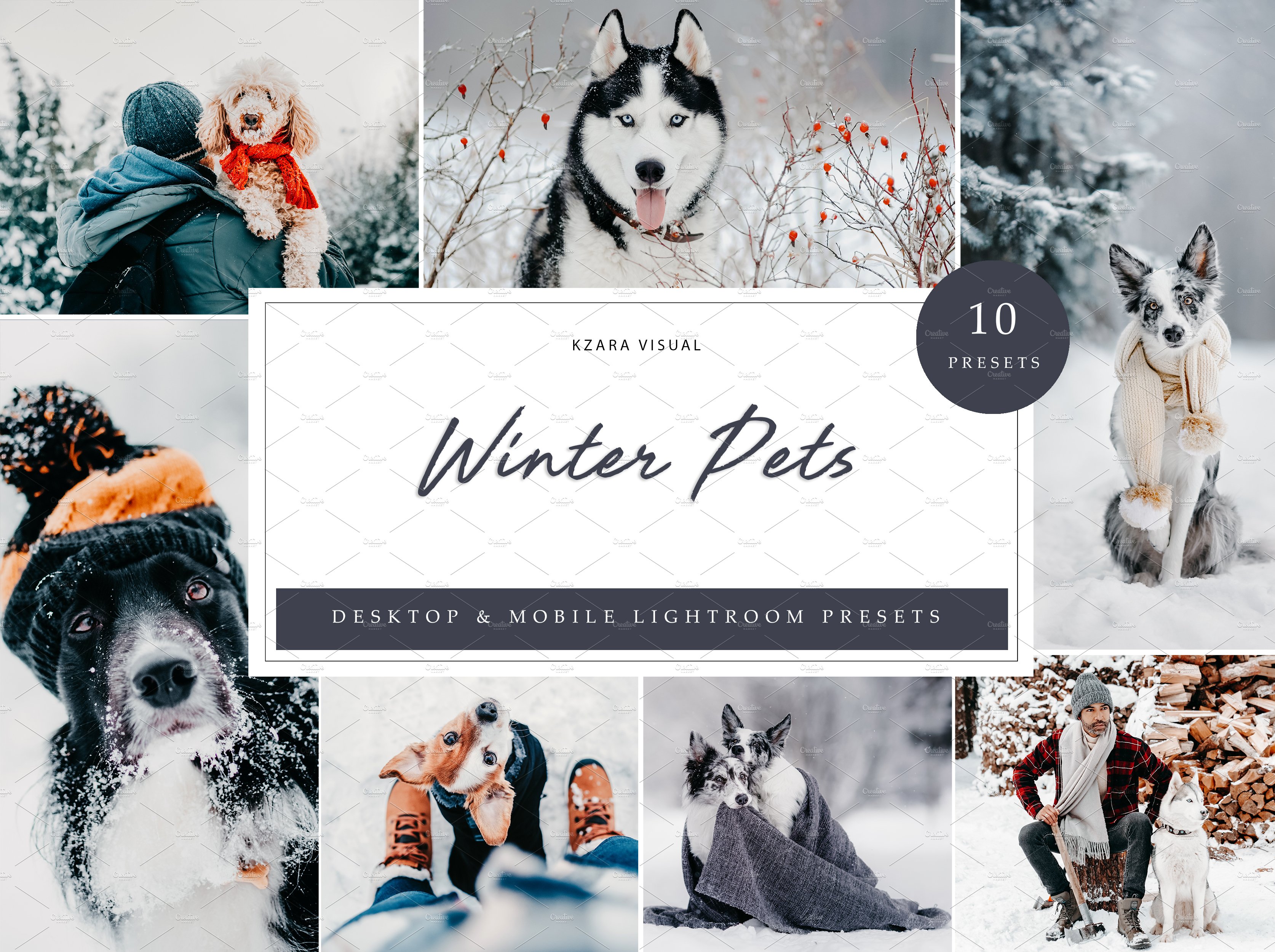 10 x Winter Pets  Lightroom Presetscover image.