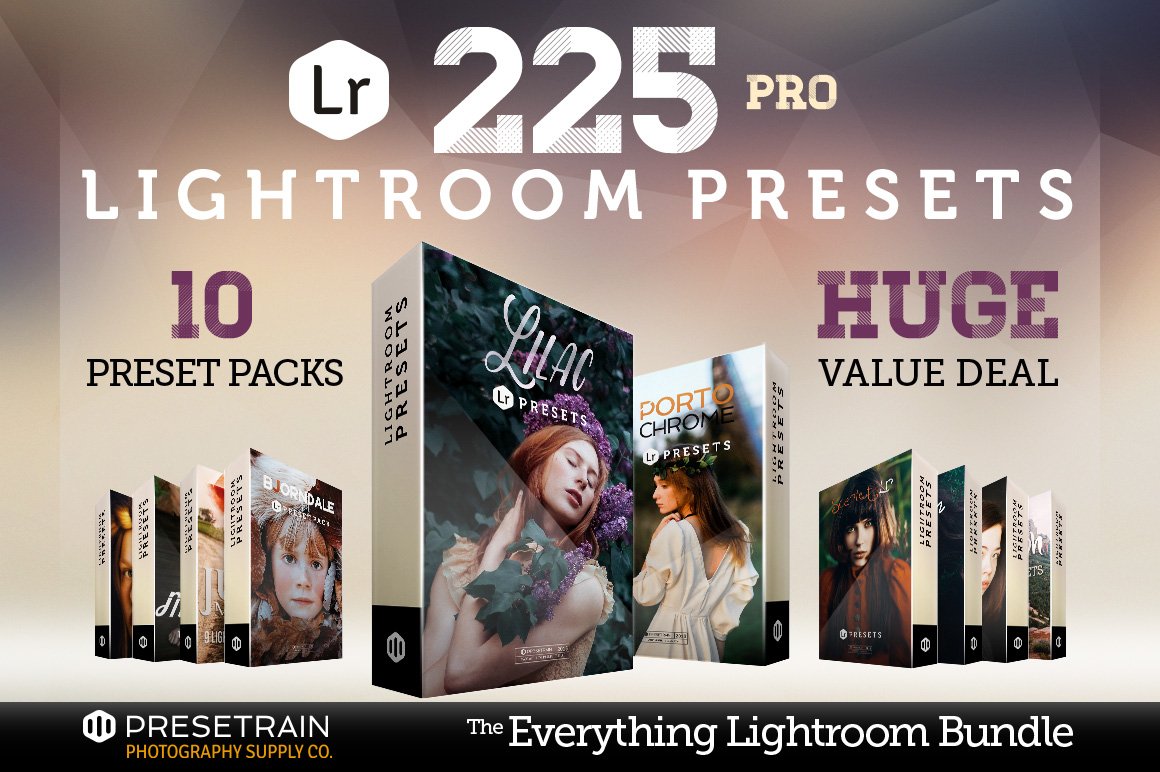 225 Lightroom Presets Bundlepreview image.