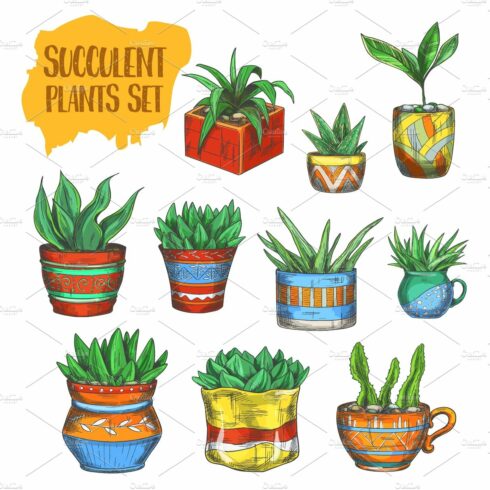 Set of potted plants with different designs.