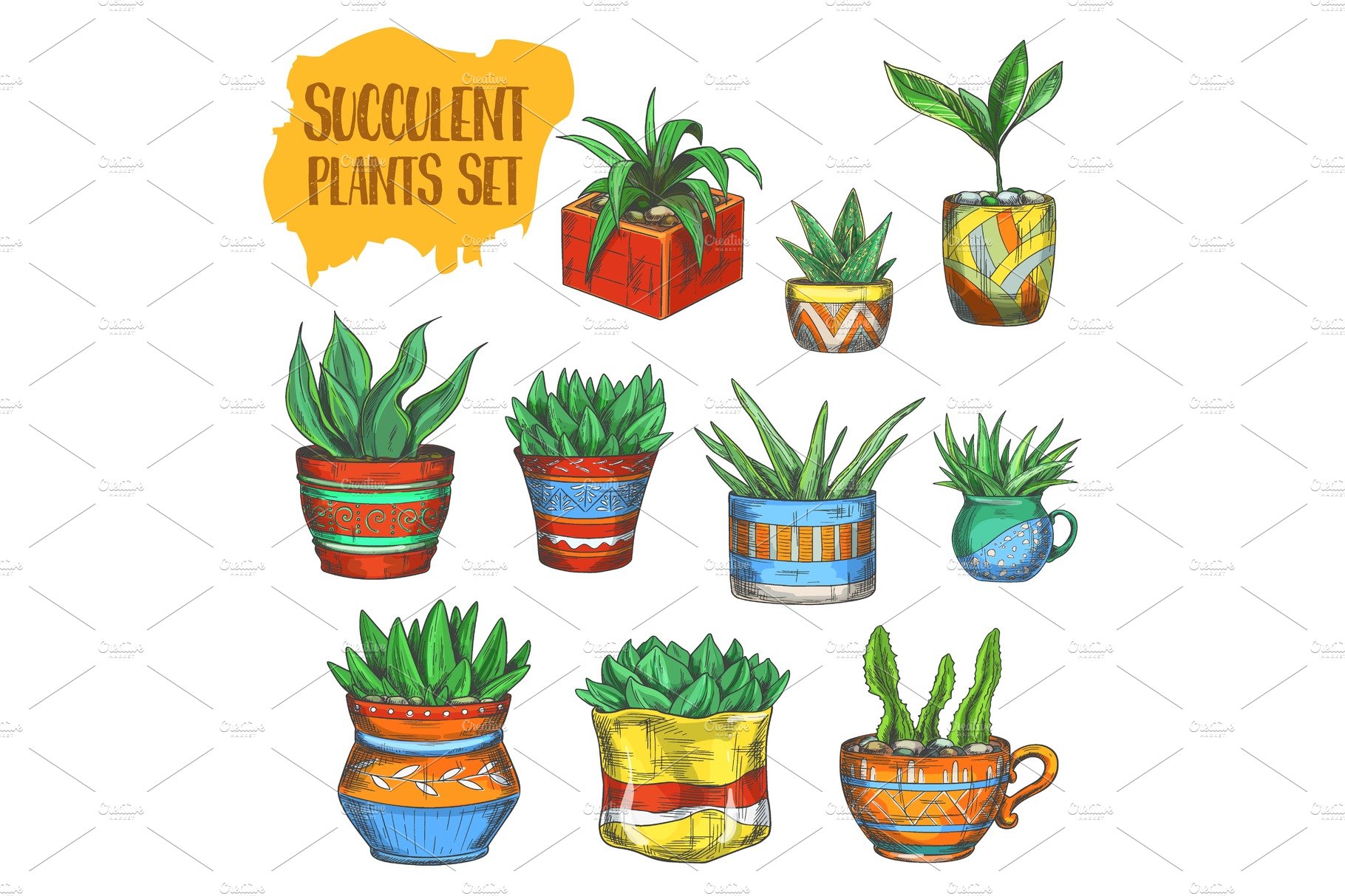 Set of potted plants with different designs.