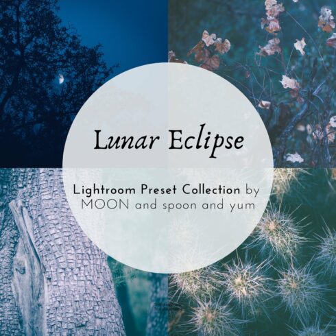 Lunar Eclipse Lightroom Presetscover image.