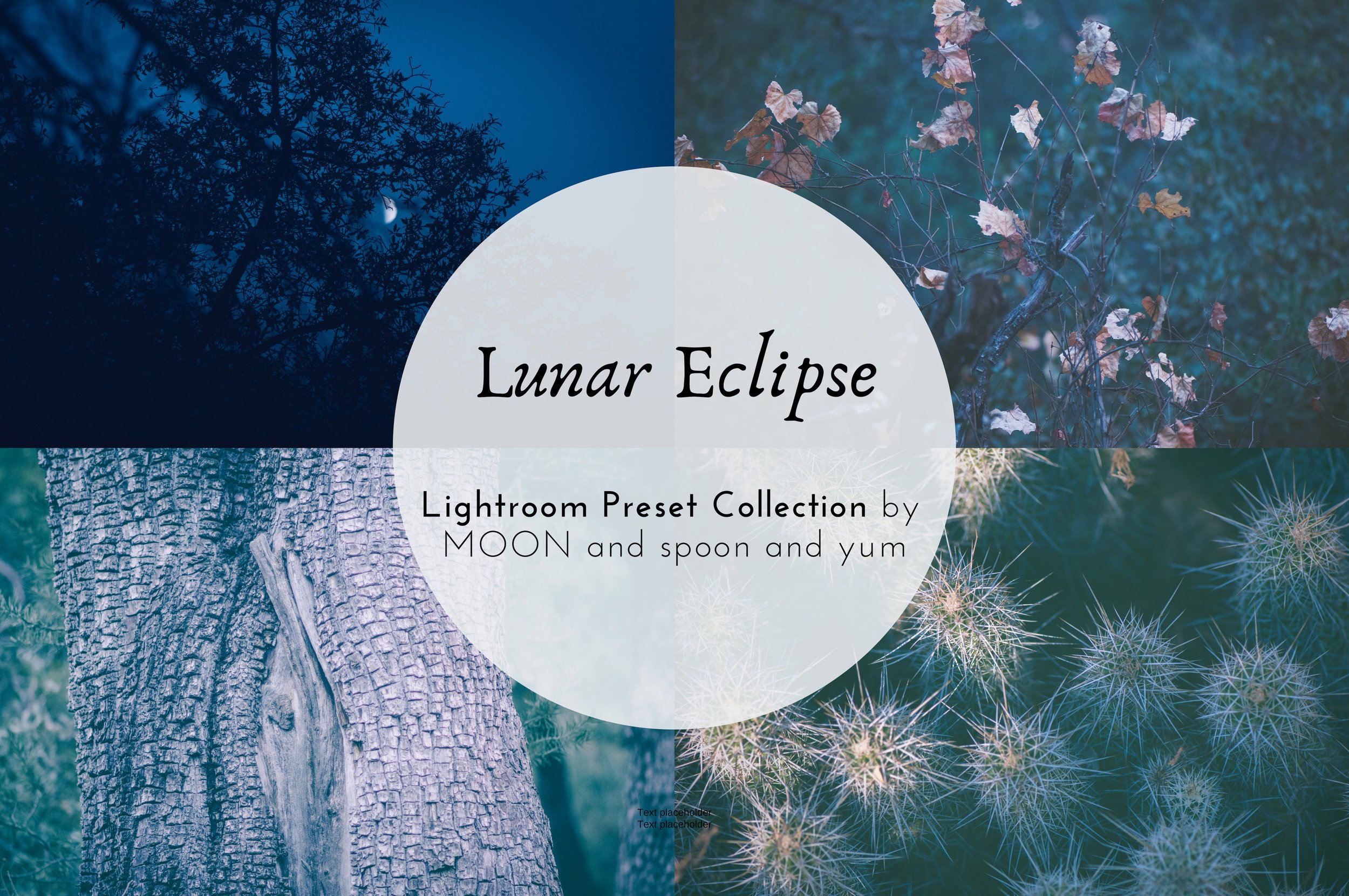 Lunar Eclipse Lightroom Presetscover image.