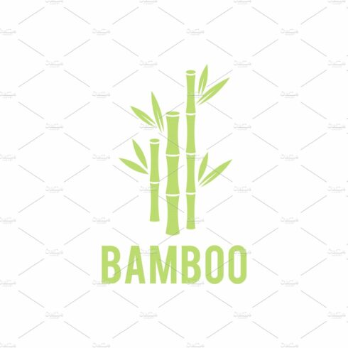 Bamboo plant with the word bamboo on it.