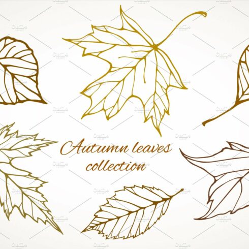Fall leaves patterns+illustrations cover image.
