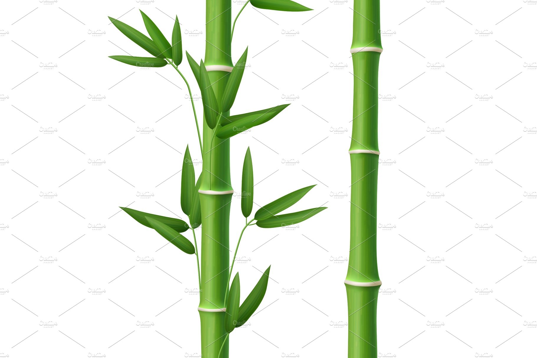 Poster Green bamboo stems seamless pattern 