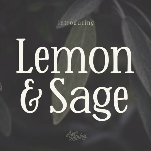 Lemon And Sage Display Serif Font cover image.