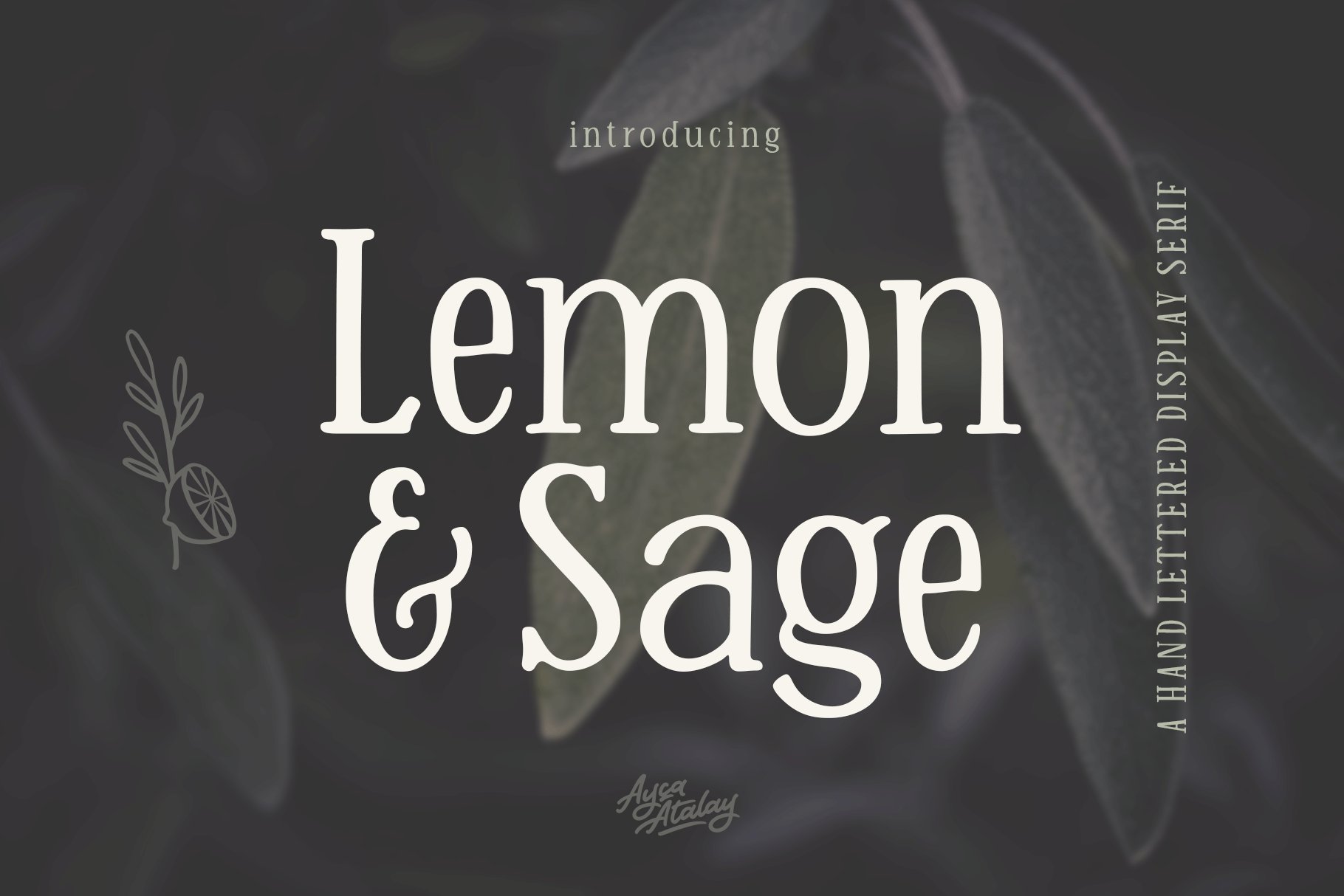 Lemon And Sage Display Serif Font cover image.