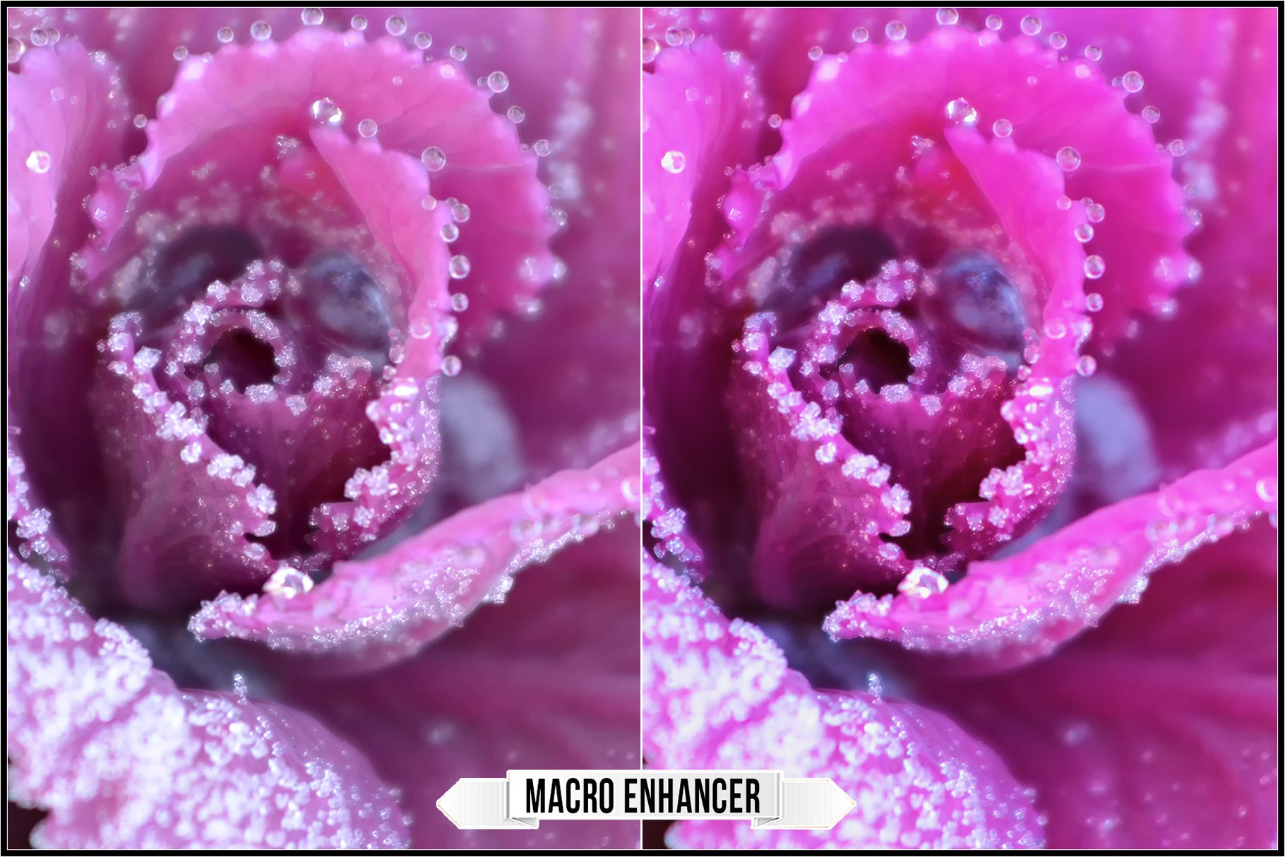 macro enhancer 418