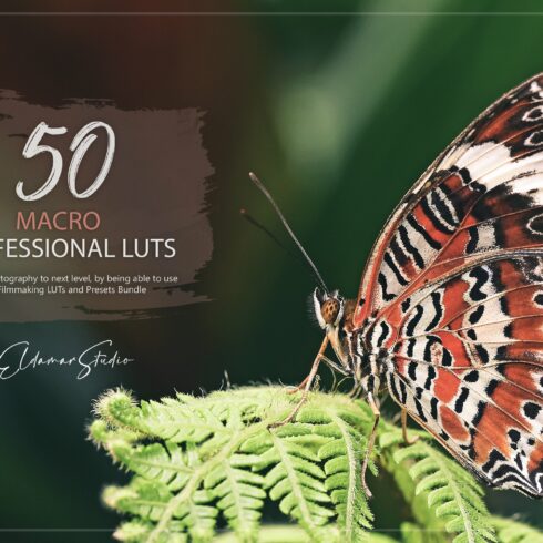 50 Macro LUTs and Presets Packcover image.