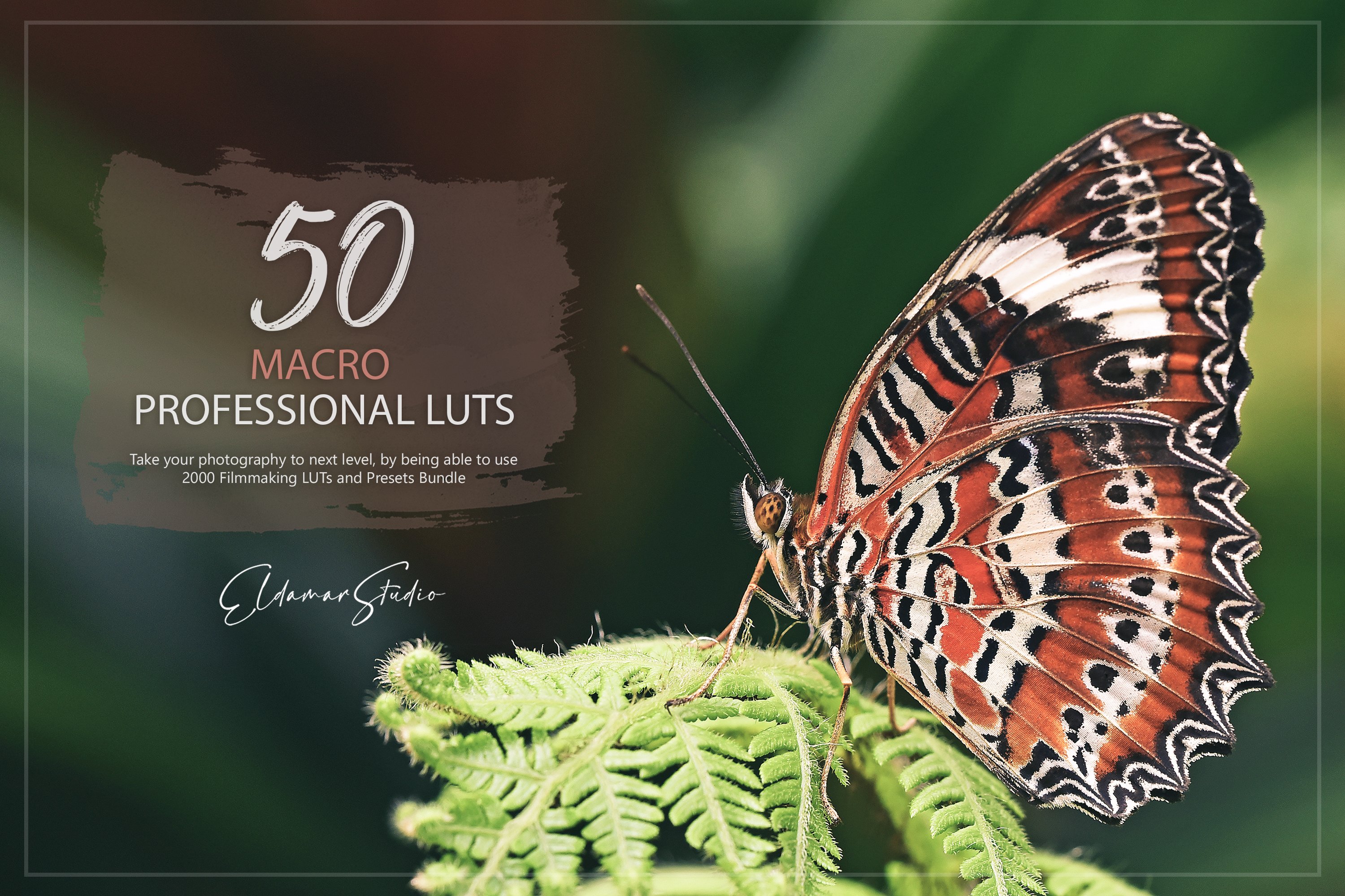 50 Macro LUTs and Presets Packcover image.