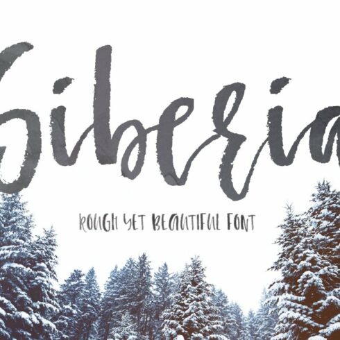 Siberia - rough brush font cover image.