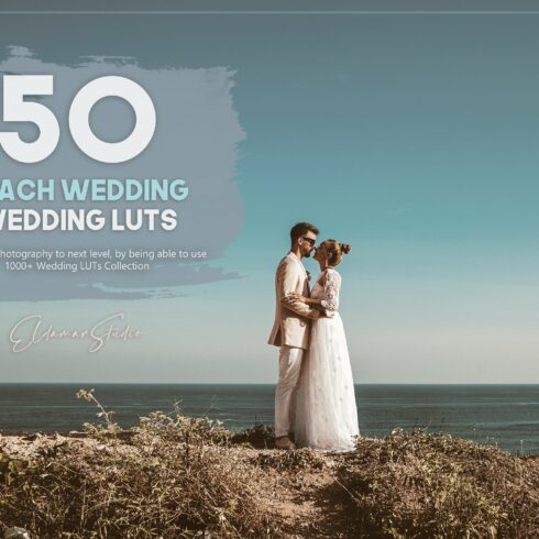 50 Beach Wedding LUTs Packcover image.
