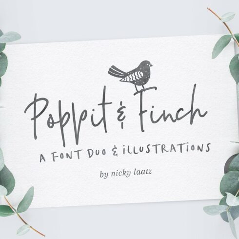 Poppit & Finch Fonts & Illustrations cover image.