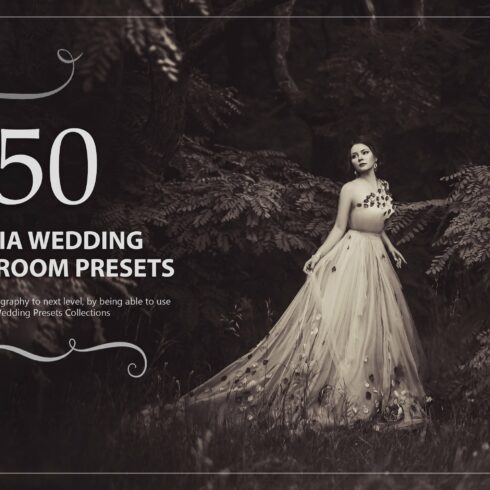 50 Sepia Wedding Lightroom Presetscover image.