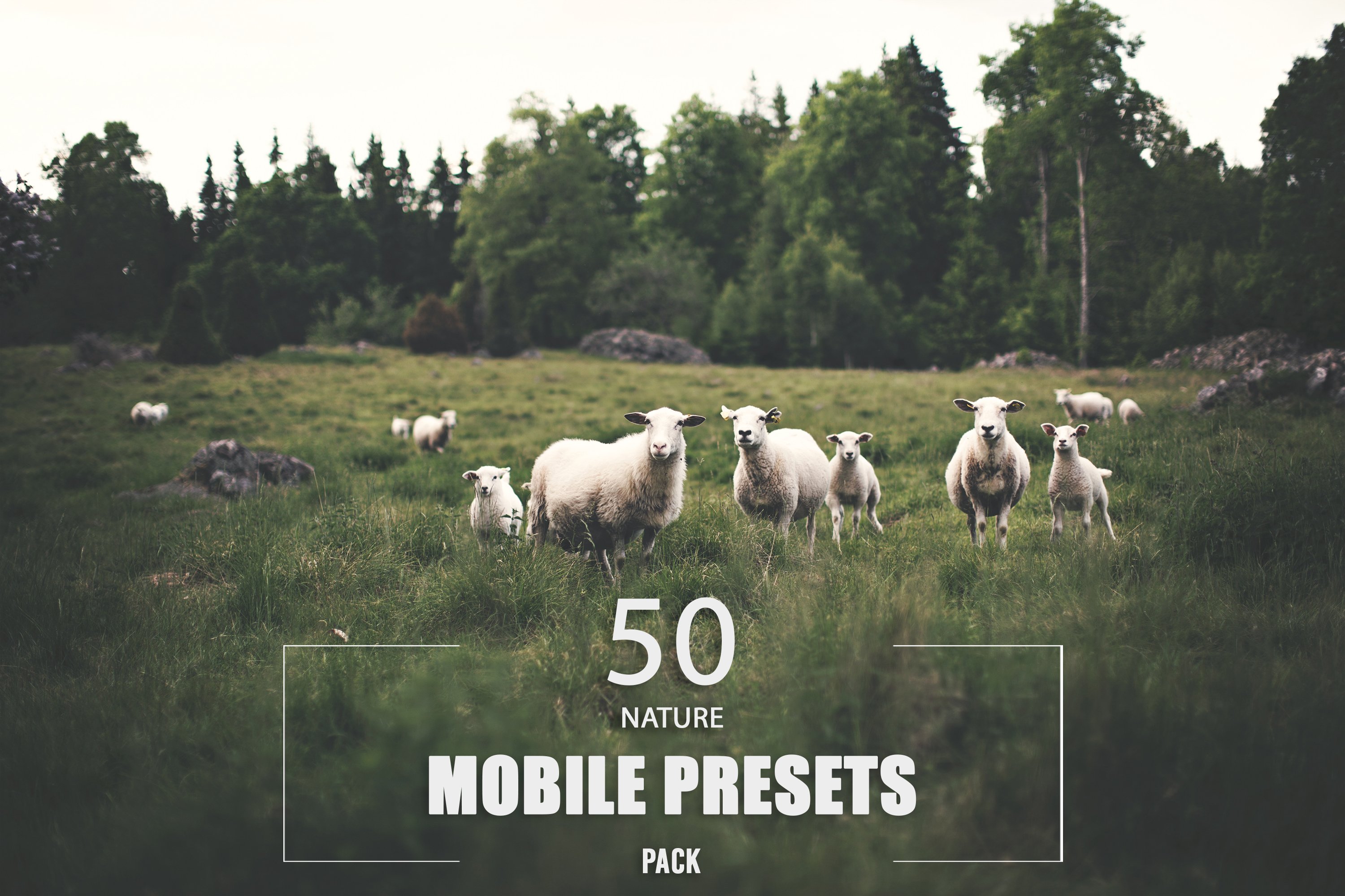 50 Nature Mobile Presets Packcover image.