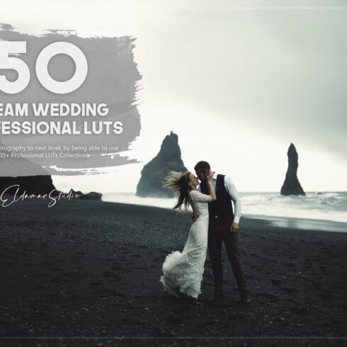 50 Dream Wedding LUTs Packcover image.