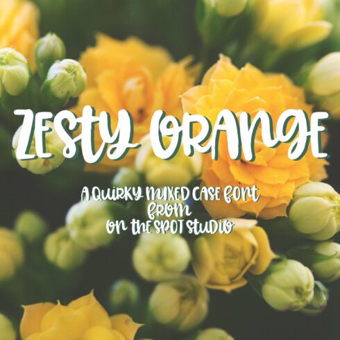 Zesty Orange cover image.