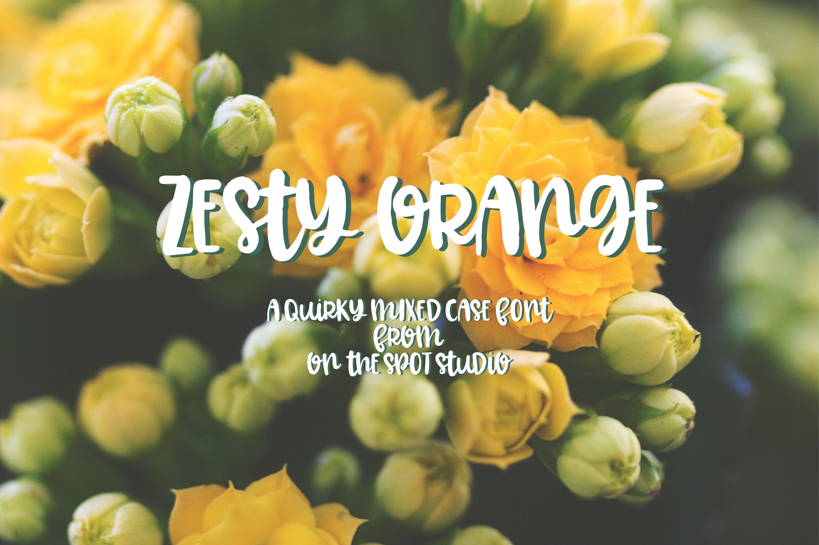 Zesty Orange cover image.