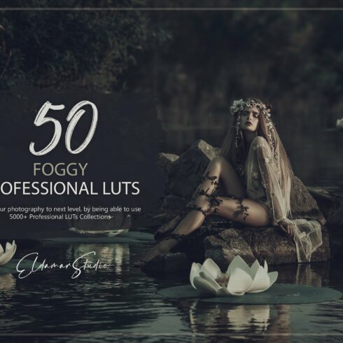 50 Foggy LUTs Packcover image.