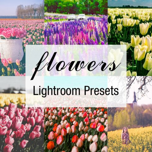18 flowerfield lightroom presetscover image.