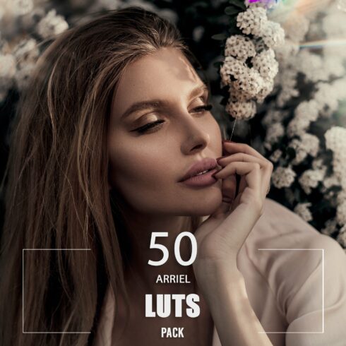 50 Arriel LUTs Packcover image.