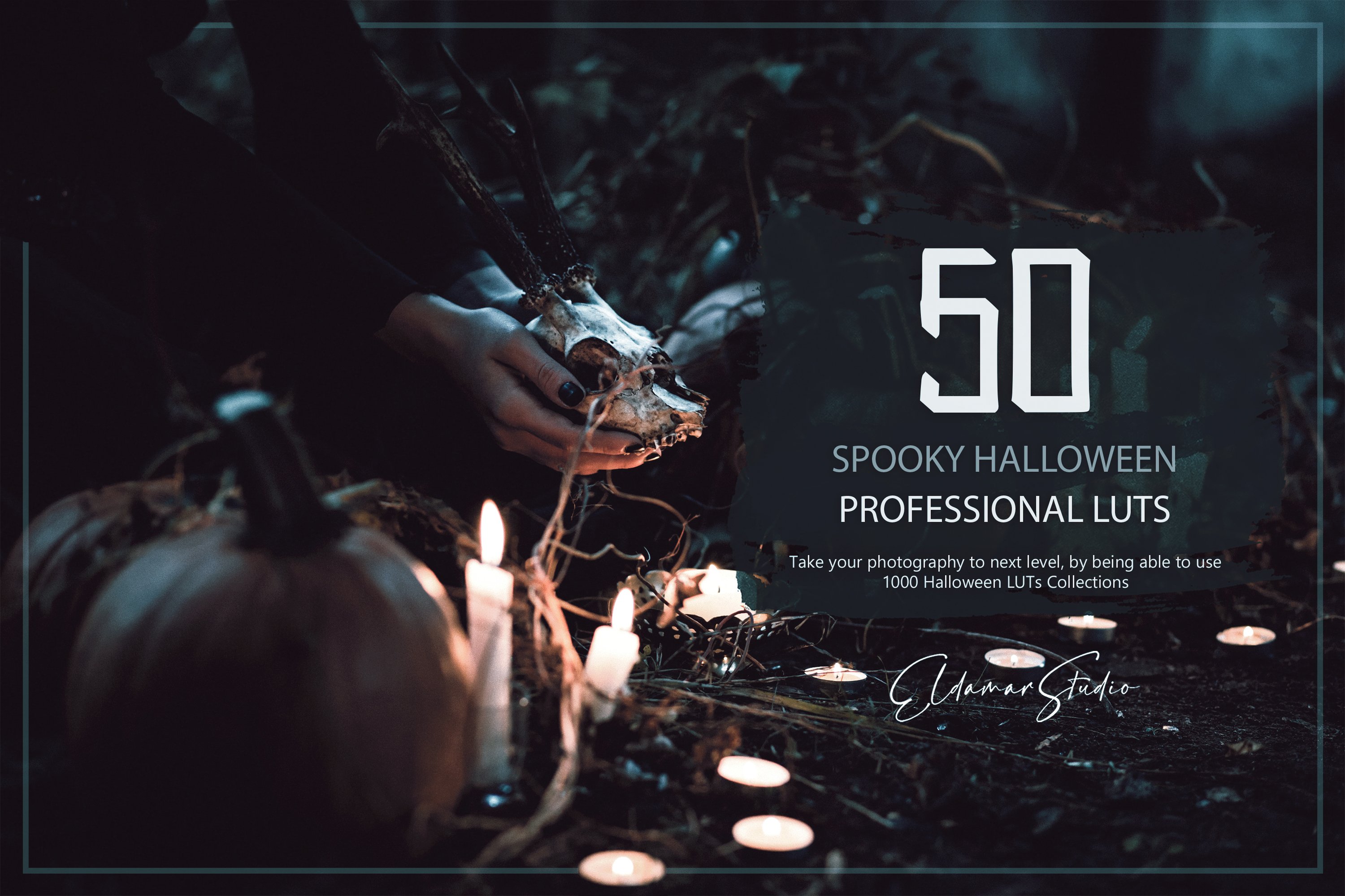 50 Spooky Halloween LUTs and Presetscover image.