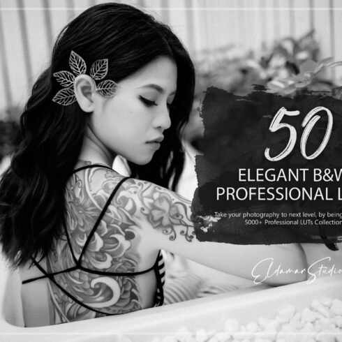 50 Elegant B&W LUTs Packcover image.