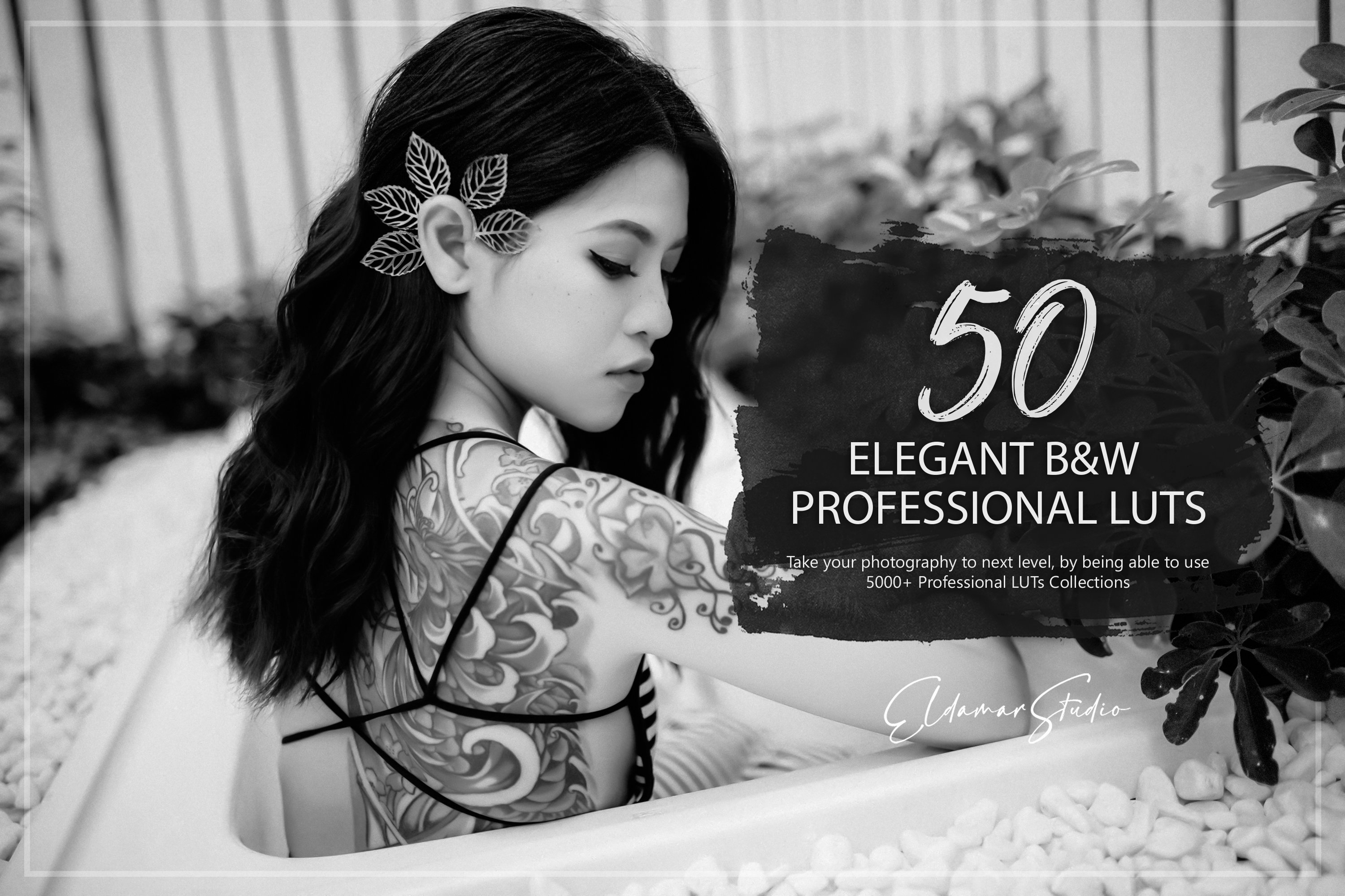 50 Elegant B&W LUTs Packcover image.