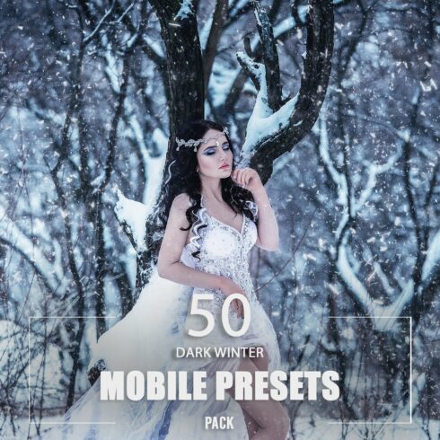 50 Dark Winter Mobile Presets Packcover image.