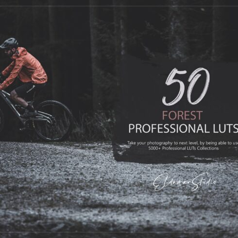 50 Forest LUTs Packcover image.