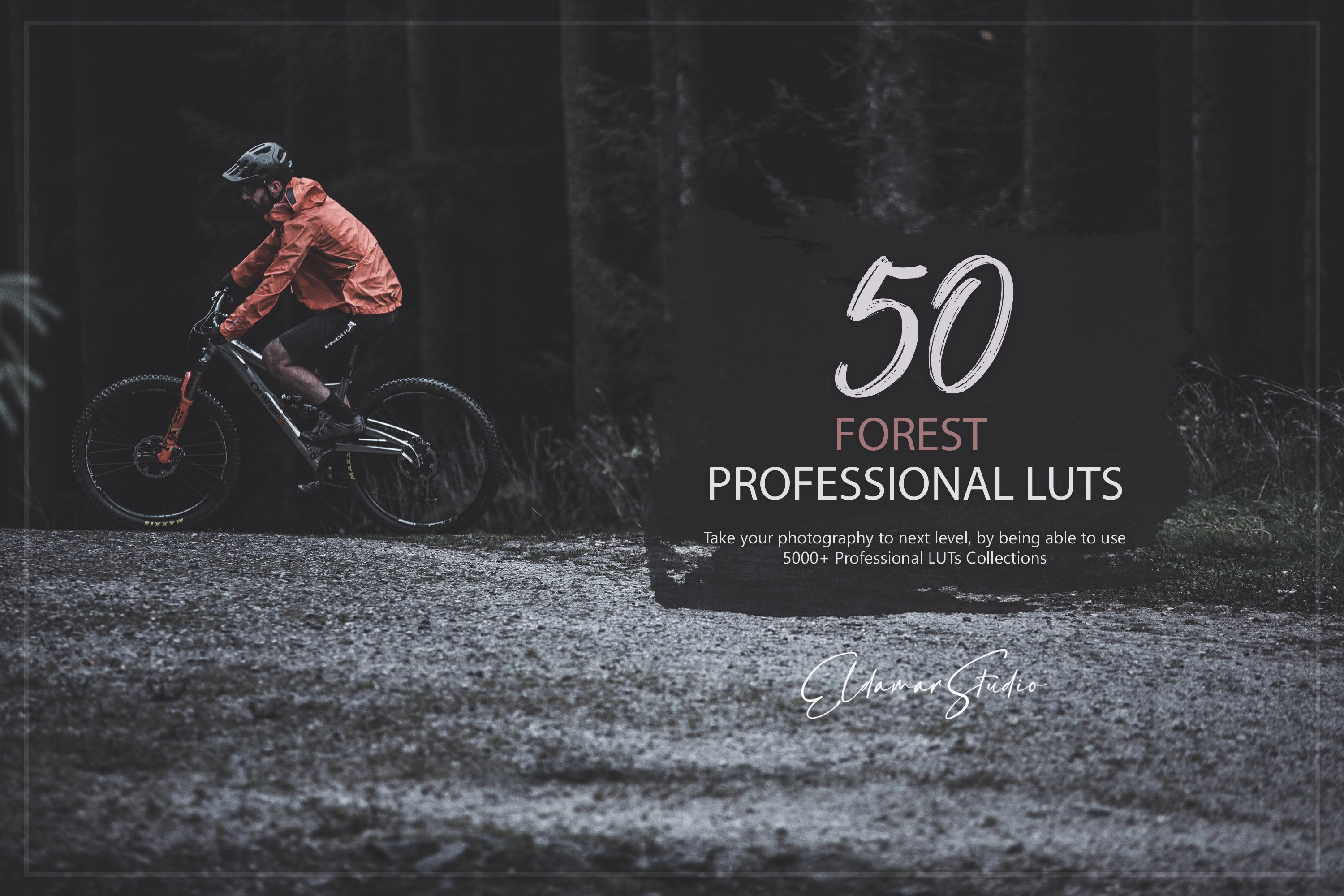 50 Forest LUTs Packcover image.