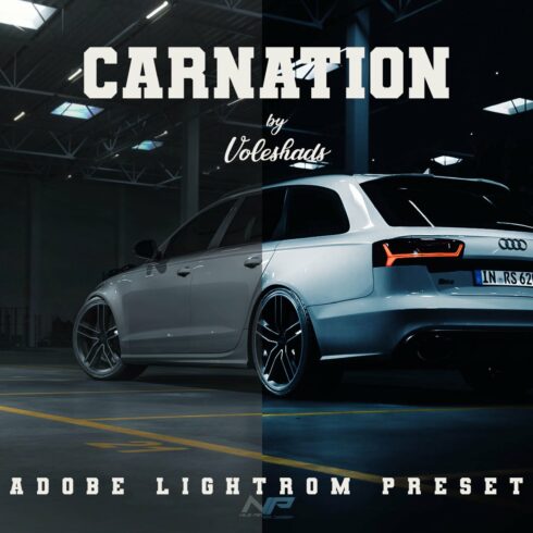 Carnation Adobe Lightroom Presetcover image.