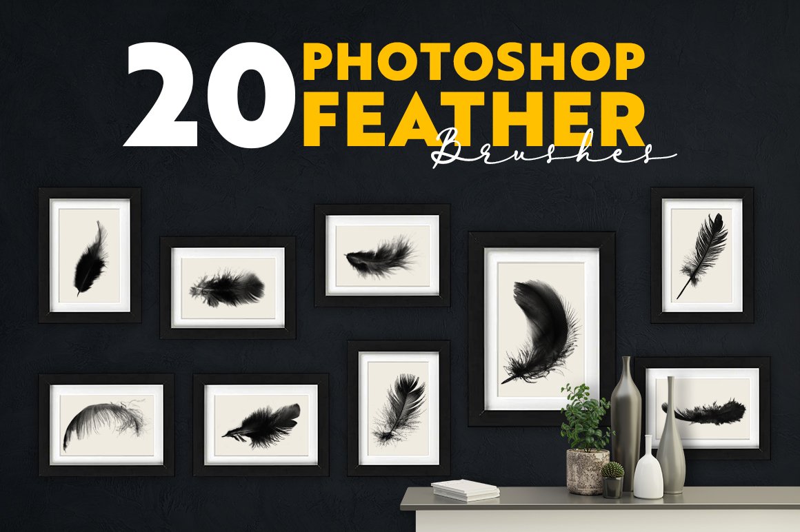 Delicate Feather Brushes - Photoshopcover image.