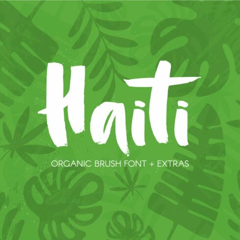 Haiti Organic Brush Font +Extras cover image.