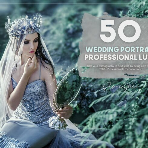 50 Wedding Portrait LUTs Packcover image.