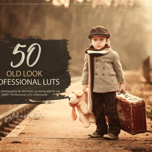 50 Old Look LUTs Packcover image.