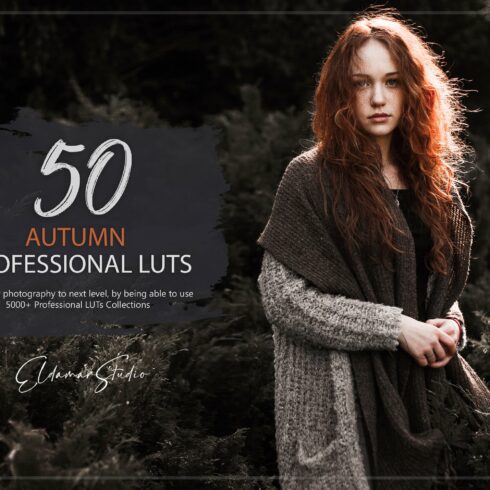 50 Autumn Forest LUTs Packcover image.