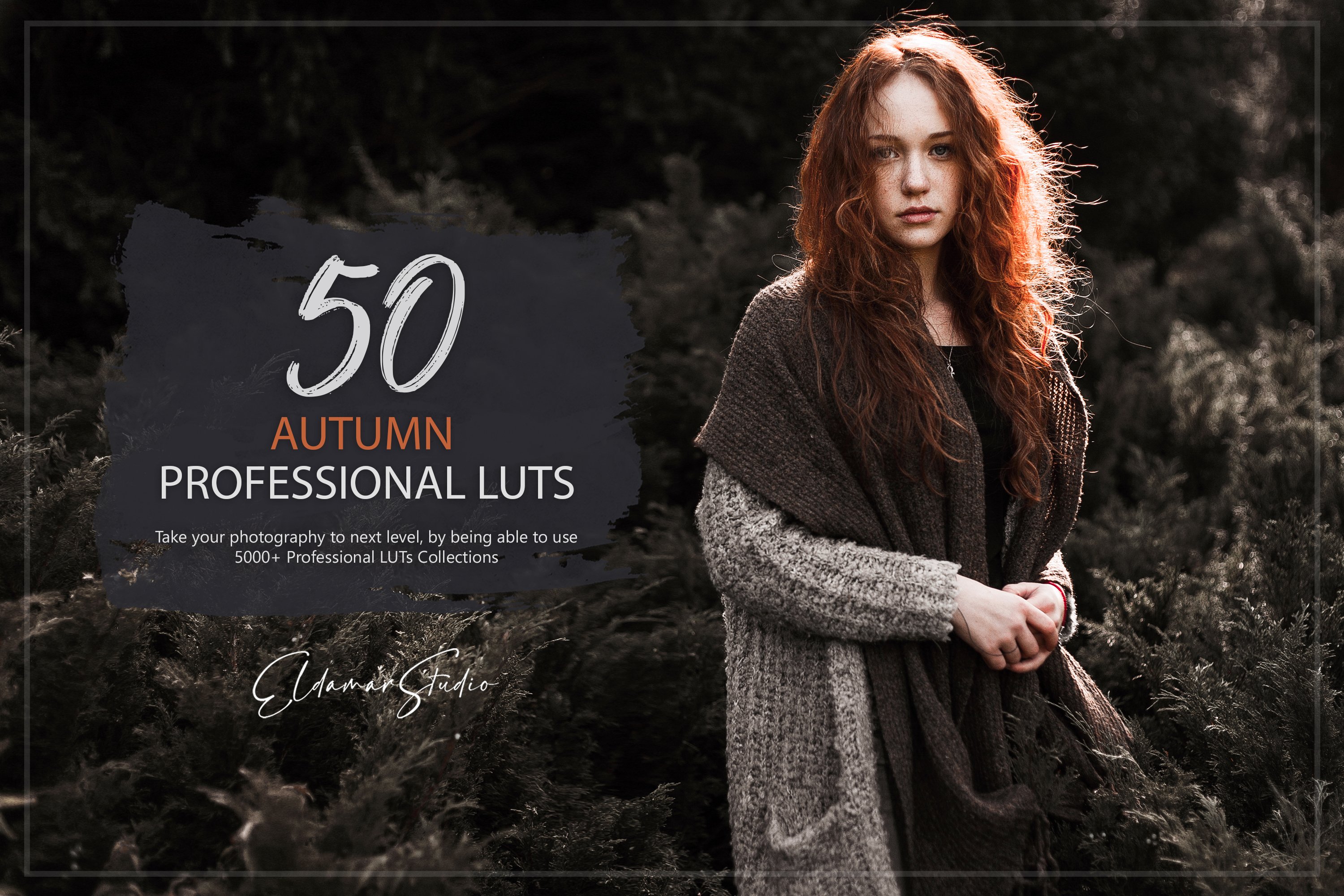 50 Autumn Forest LUTs Packcover image.