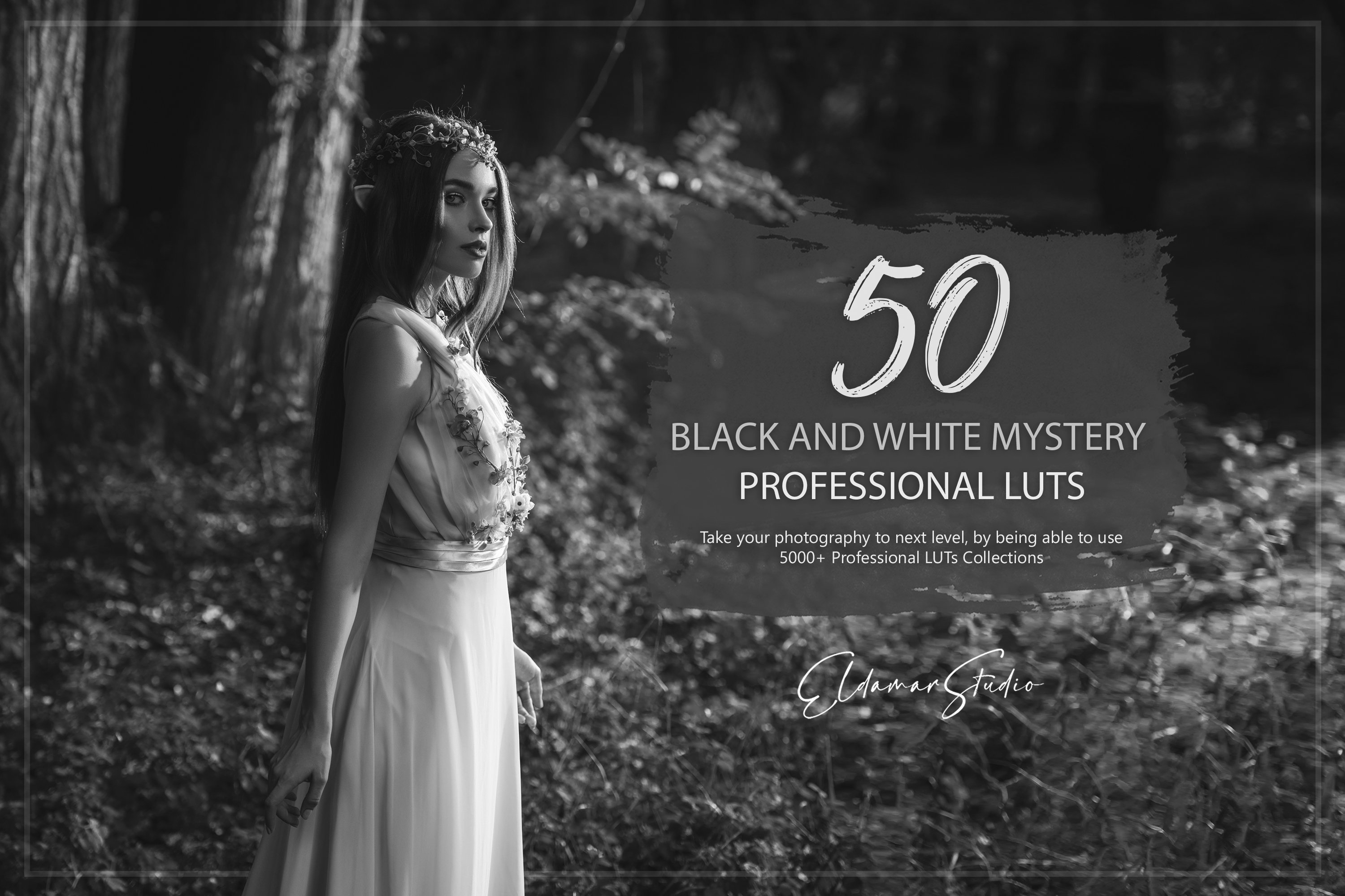 50 Black and White Mystery LUTs Packcover image.