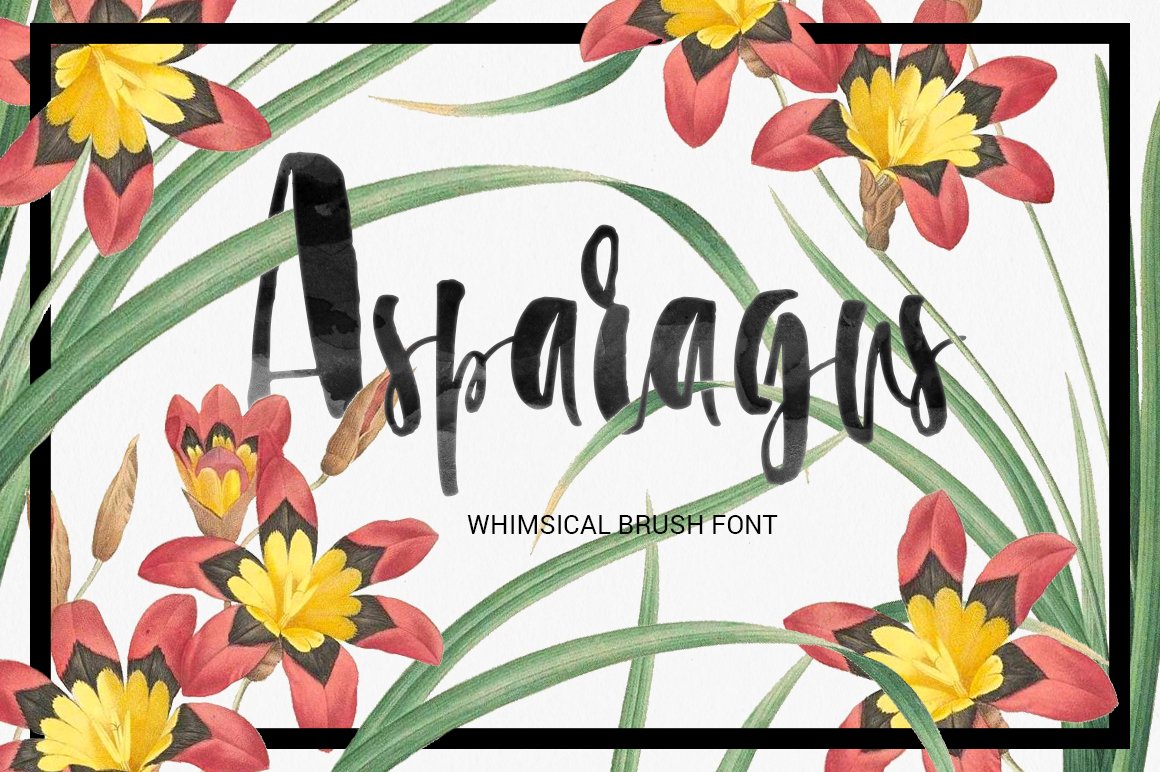 Asparagus - whimsical brush font cover image.