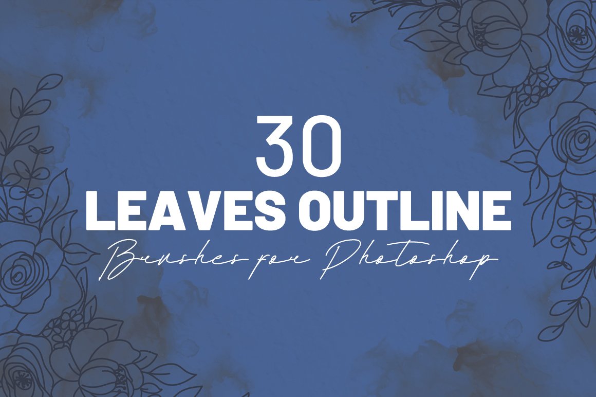 30 Leaves Outline Photoshop Brushescover image.