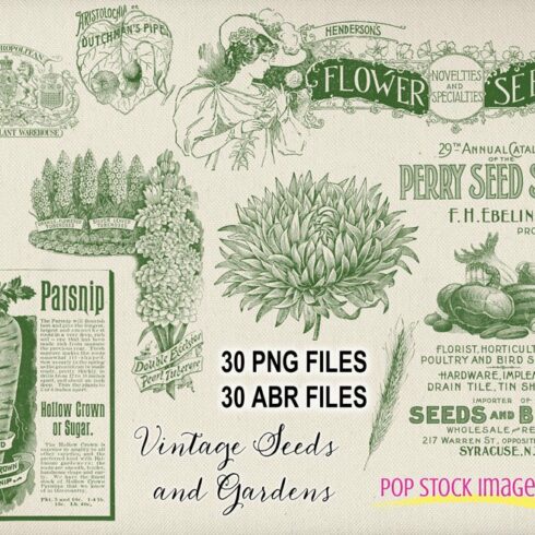 Vintage Garden & Seeds Brushes Setcover image.