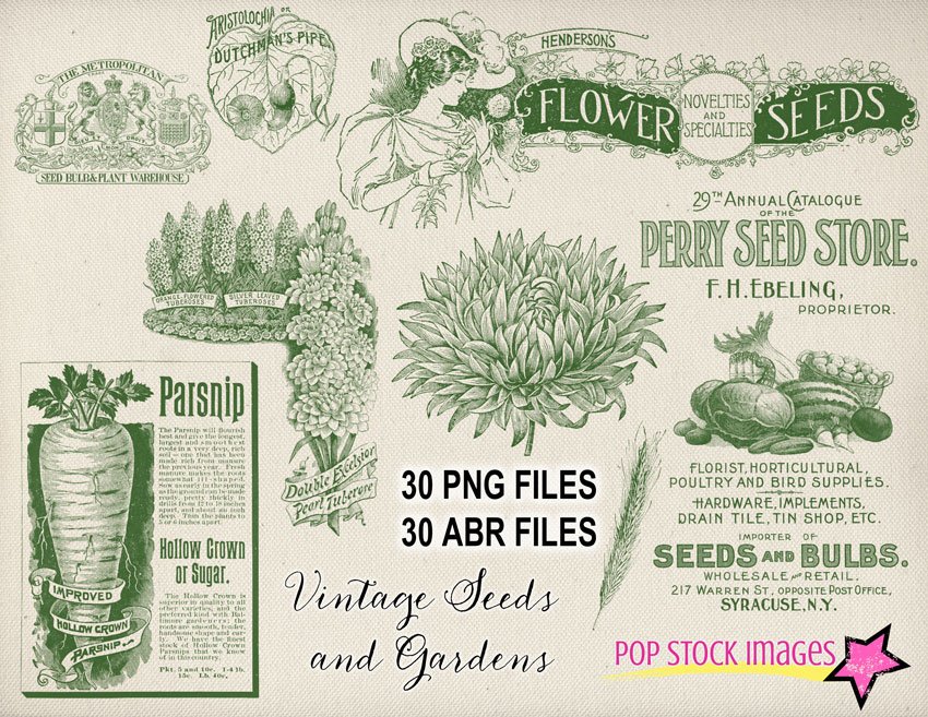 Vintage Garden & Seeds Brushes Setcover image.
